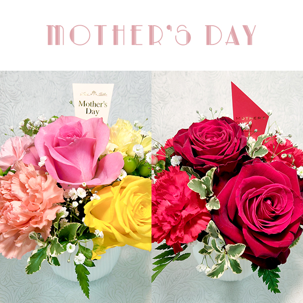 【母の日】アレンジメントA カーネーション ローズ 陶器ポット｜店舗受取専用