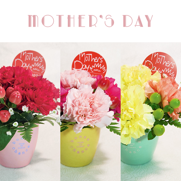 【母の日】アレンジメントB カーネーション エコポット｜店舗受取専用